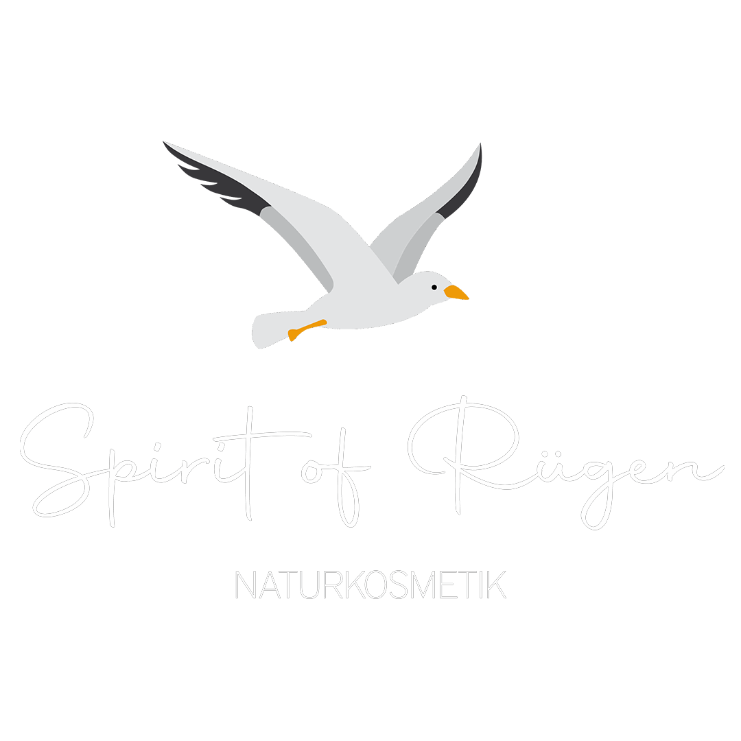 spirit of ruegen logo flyer