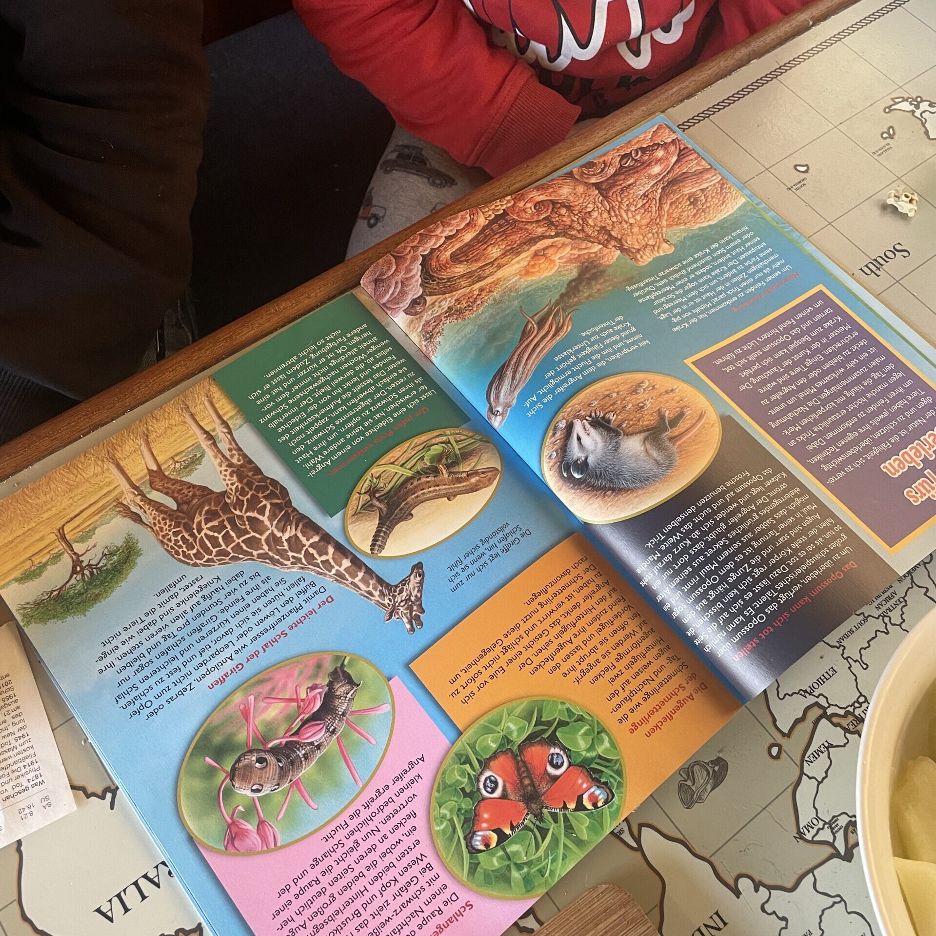 Anne Schirmer Fördermittel Jugendarbeit Fördergelder Fördermittelexpertin Fördermittel Schulen und Vereine Projektarbeit Kinder