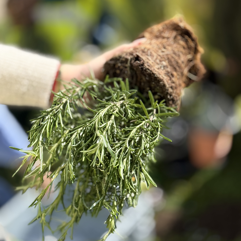anne schirmer fördermittelexpertin fördermittel vereinsarbeit fördergelder projekte Fördermittel Schulen und Vereine Projektarbeit Kinder